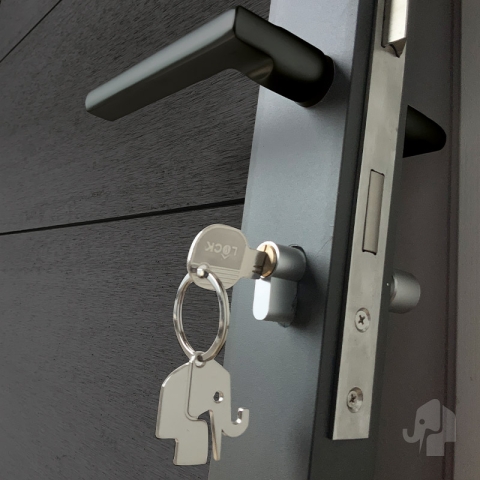 Elephant Zauntor Modular EVO 200 WPC anthrazit 90x197cm inkl. Beschlag