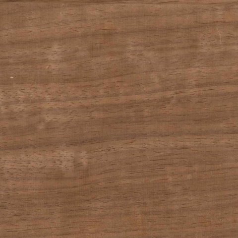 Elephant Steckzaun Set Mix and Match 180x174cm Thermo Frake anth. Leisten